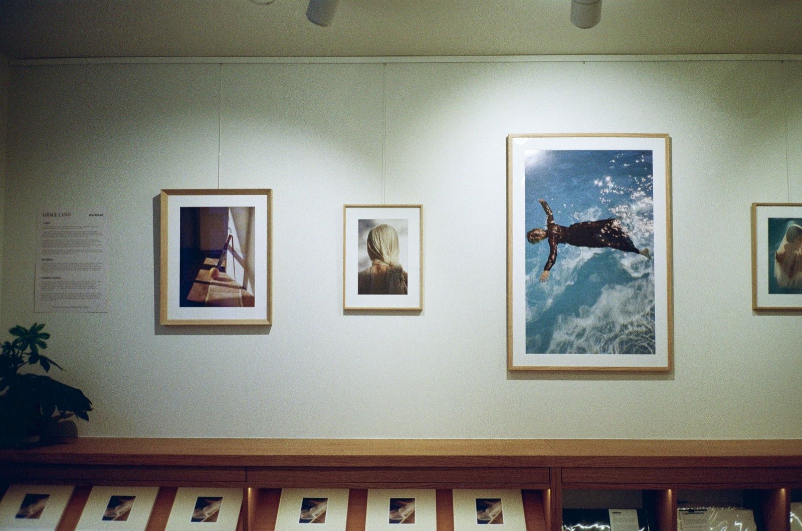The Analog Club — photo 6